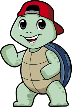 Tortuga con gorra